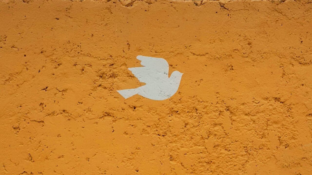 light colored bird painted onto a concrete dark wall.
